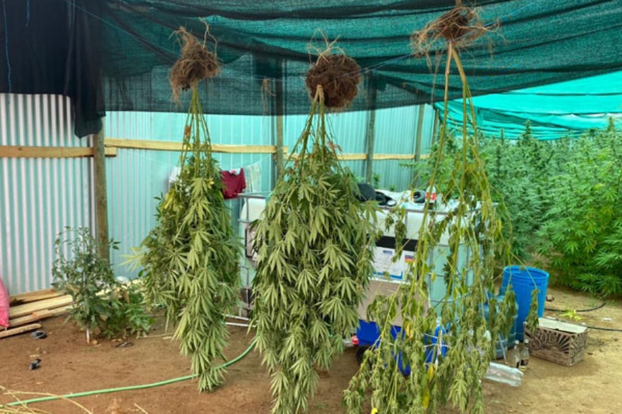 Fiscalía de Curacaví.