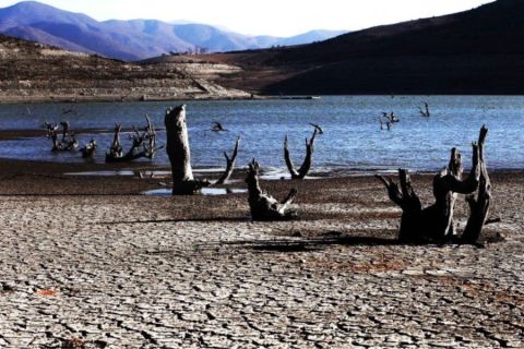 Científico chileno: "Me puedo imaginar una crisis en que el agua no alcance para satisfacer necesidades básicas"