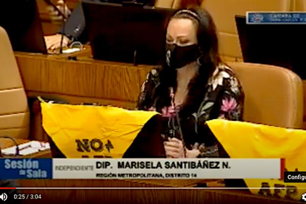 Marisela Santibañez: intervención en Sala sobre retiro 10%