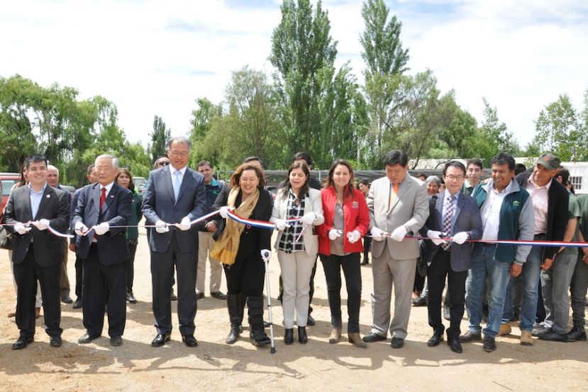 Inauguran invernaderos automáticos de cultivo de rosas en María Pinto