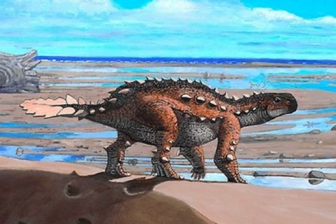 nueva especie de dinosaurio en Chile