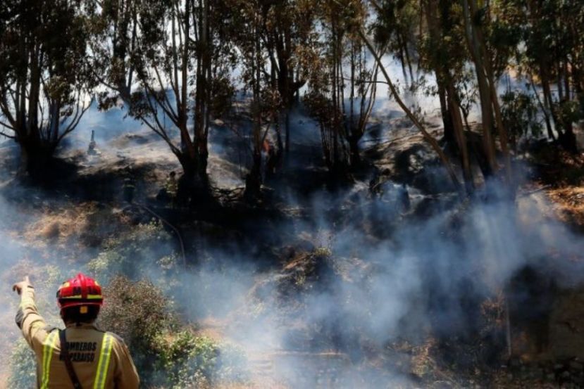 Balance por incendios: Onemi informa que aún hay 9 siniestros activos en el país